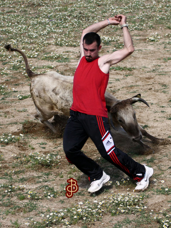 Así quiero recordarte. Viviendo con pasión. Nos vemos por los ruedos imaginarios. Anda, corre, salta, disfruta,... por allí arriba. ✨#EternoFerre <a href="/trofeo_ferre/">Trofeo Esteban Ferre</a>