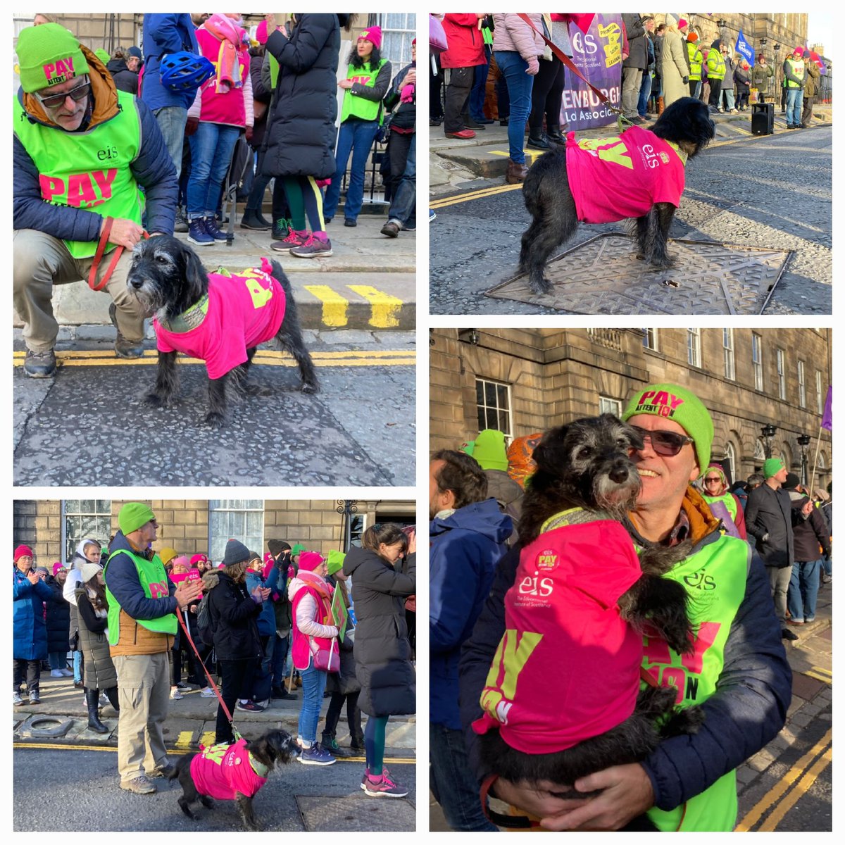 EdinburghEIS's tweet photo. Furry solidarity from our 4-legged friends! #PayAttention #demodogs https://t.co/LeN7Cq6bv6