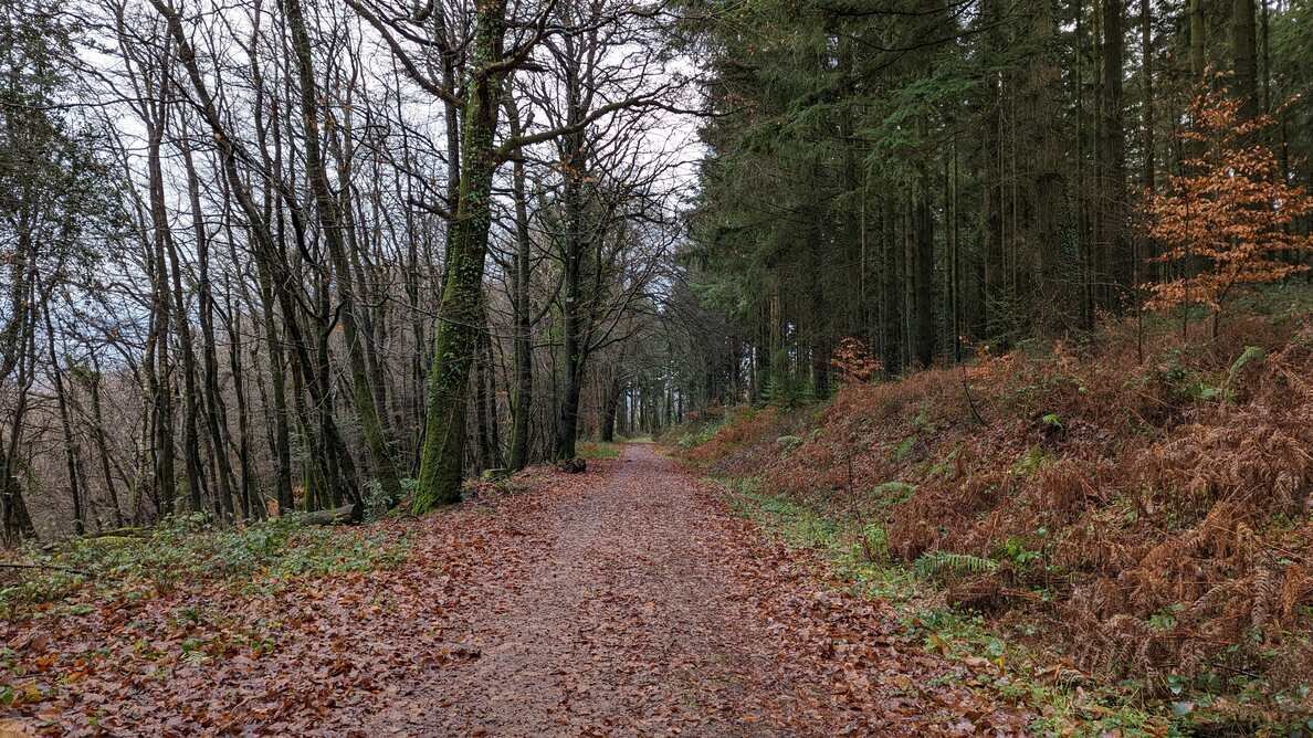 New DarteWalk up! dartefacts.co.uk/walk/canonteig…