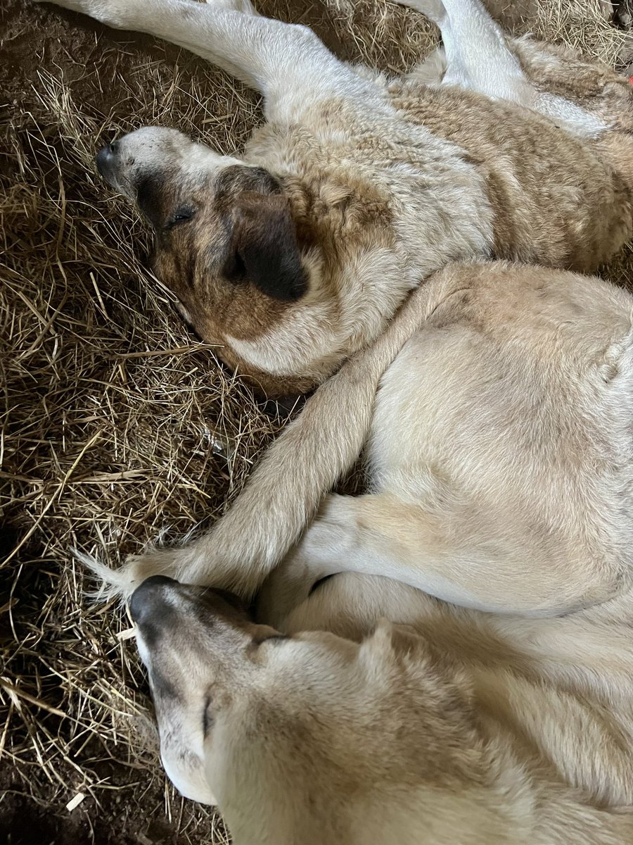 ellos dos juntos eran tan❤️‍🩹