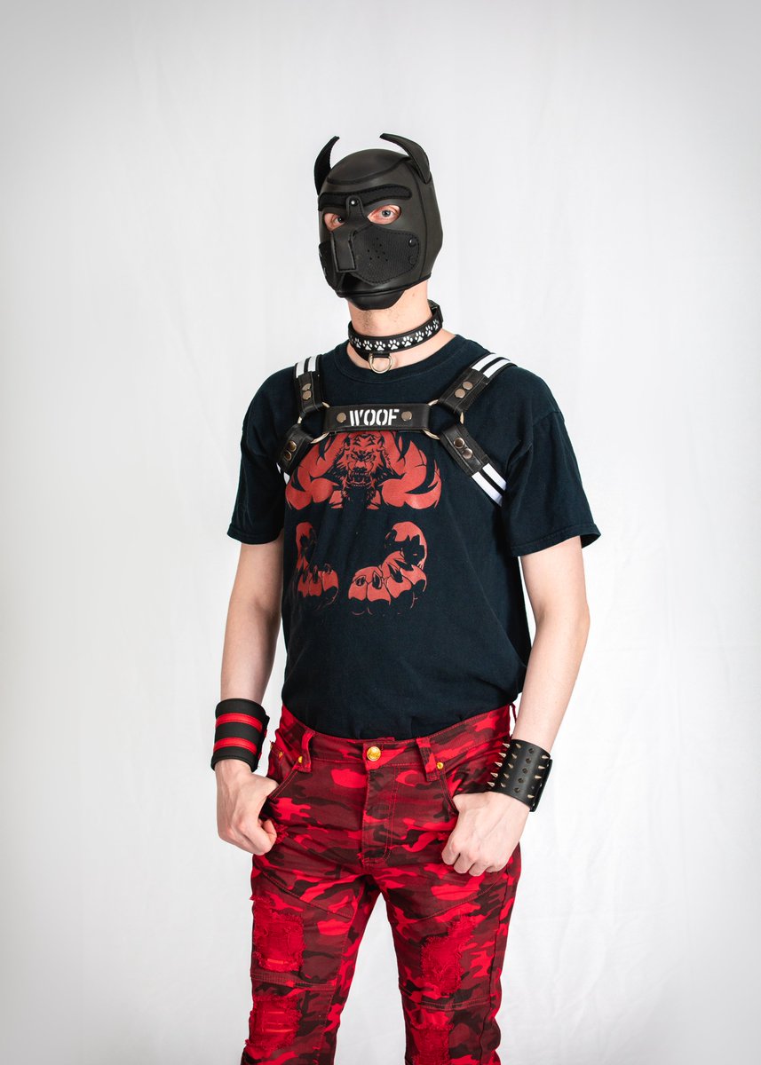 BookLab4's tweet image. So excited for #FC2023 this weekend! How to find the pup!