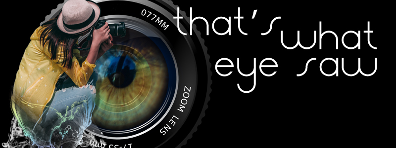 That's What Eye Saw - A Photographic Art Show 2023 - Opens January 19, at the Hallberg Center for the Arts wyomingcreativearts.org/upcoming-event…