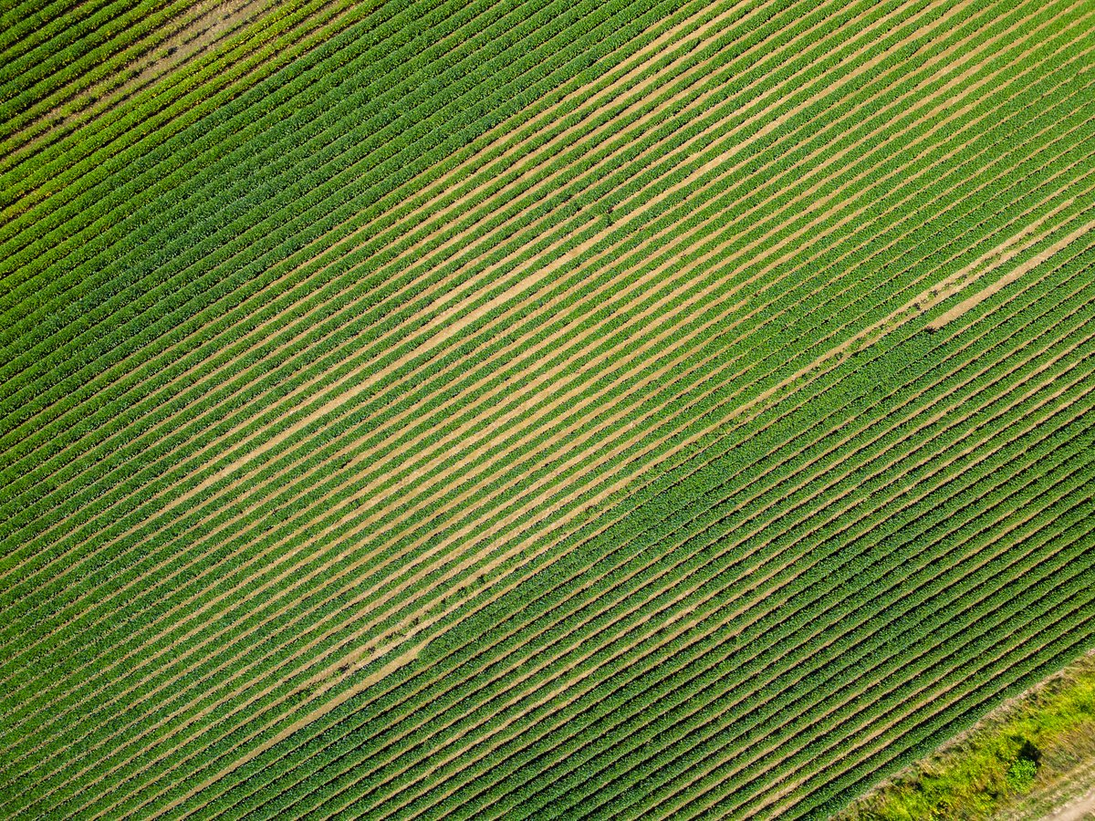 AYOS technologies tweet media