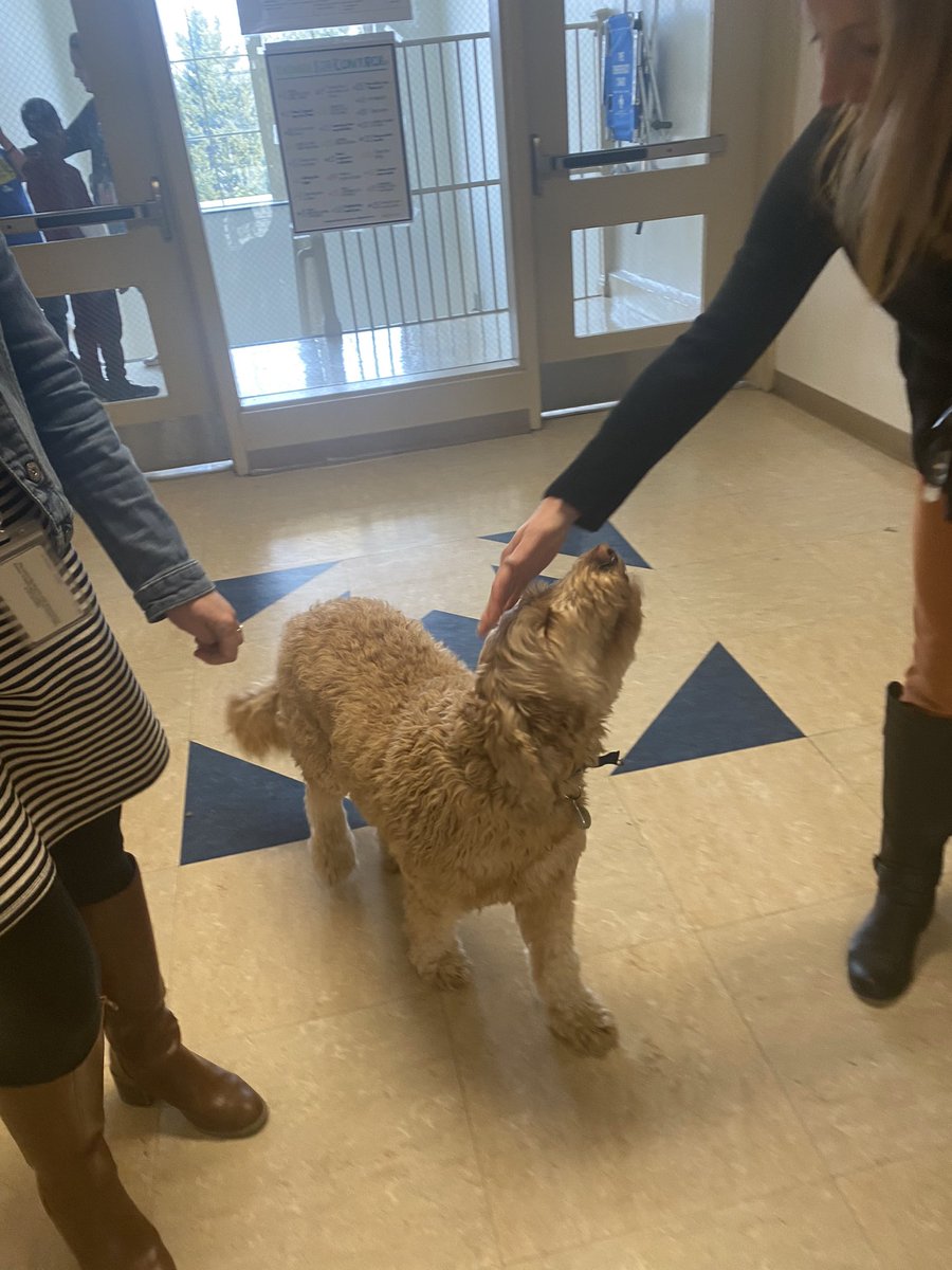 lots of highlights supporting <a href="/SmyrnaSchools/">Smyrna School District</a> with teacher coaching and #hqim implementation this week. but the cherry on top was getting to meet this very good boy outside a 6th grade classroom <a href="/JBMintermediate/">John Bassett Moore Intermediate</a> today.