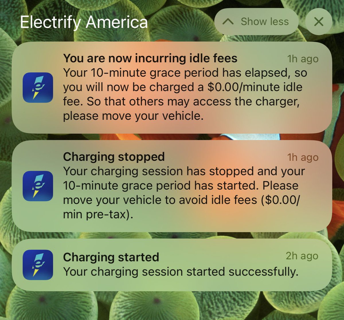 Kyle Conner tweet media