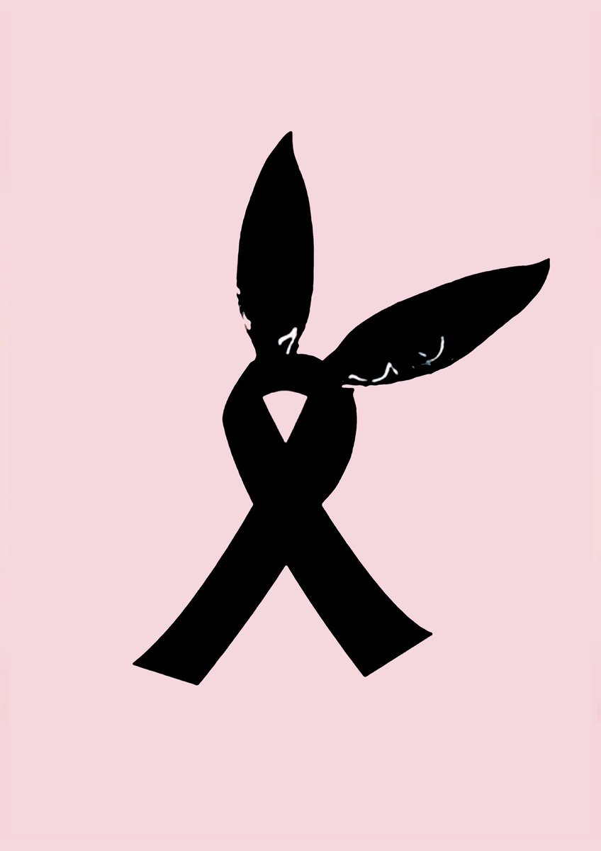 At Harry Styles’ coventry show on the 22nd May, we will be turning the venue pink in honour of Elidah MacLeod and the 22 other victims of the Manchester attack who sadly lost their lives, as well as the 14,000 people who attended.

Please contact <a href="/EilidhAdventure/">Lyric & Eilidh's Adventures 🐝</a> for more info!