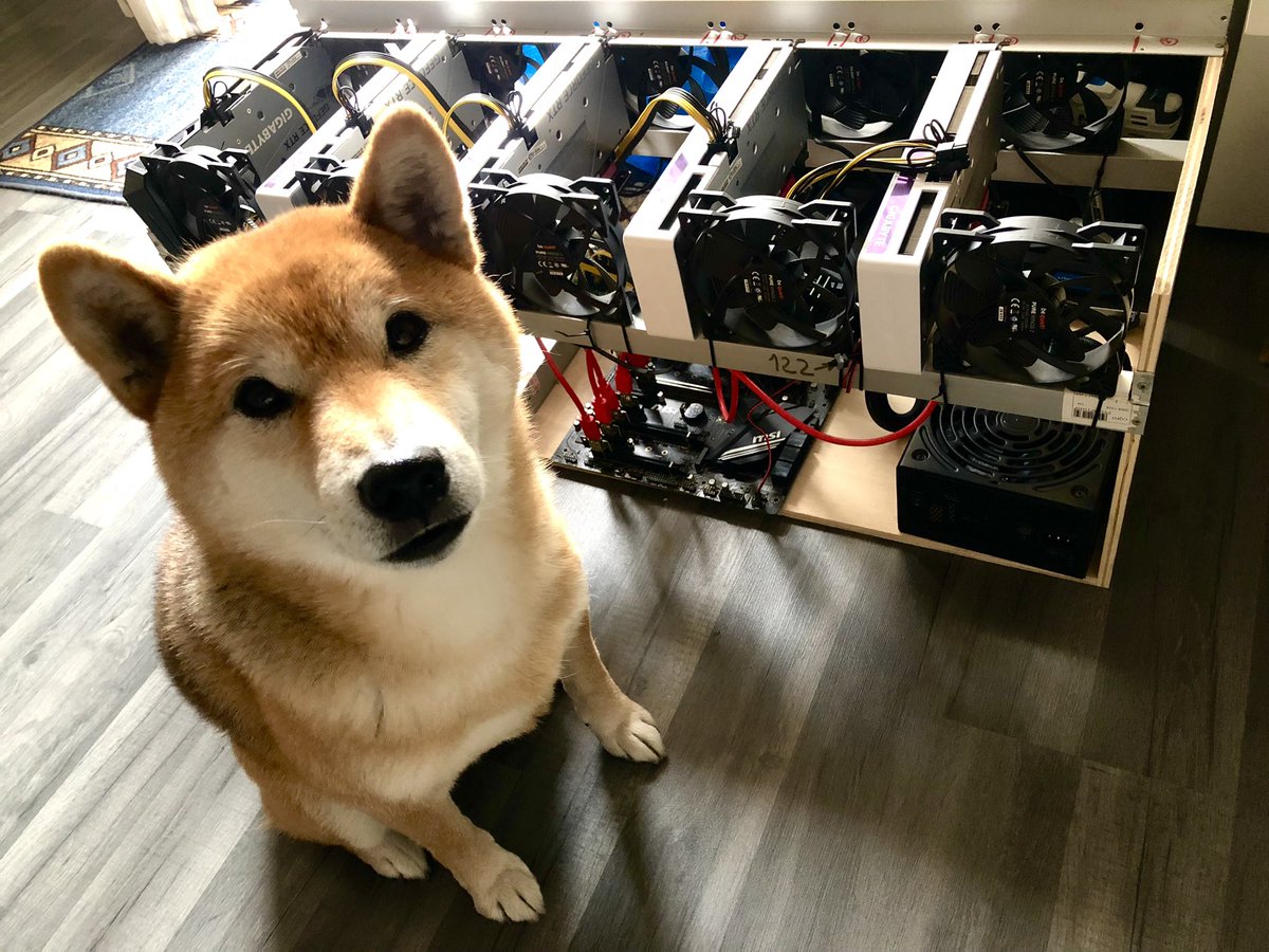 Cuando hace frío … ella sabe dónde ponerse 🥷 instagram.com/p/CnSiYDwNjxt/…