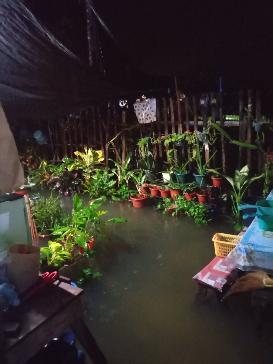 paulThe7th's tweet photo. Grabe na baha dto samen 🥺😭😭 
Pero officials dto samen tulog pa! Jusq.
#DipologCity
#Estaka https://t.co/knUUP0R7pT
