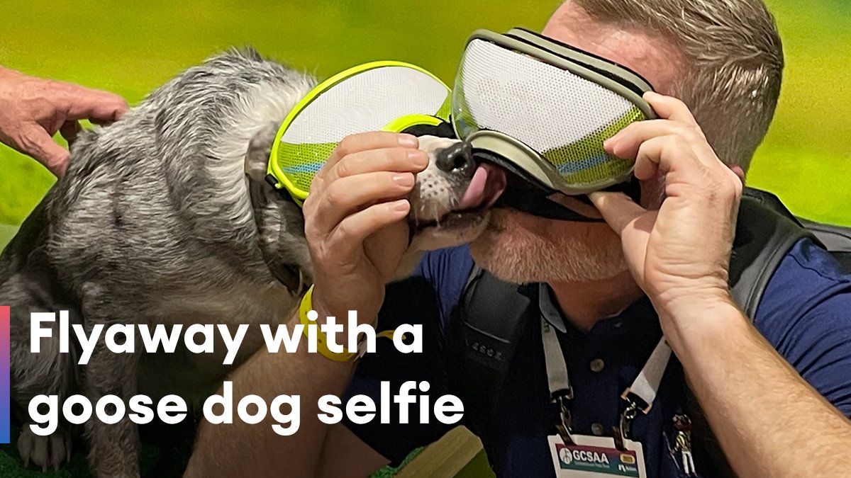 Get up close with the team from @FlyawayGeese at our booth! Meet the owners, cuddle with the dogs, take some pics and enter to win your very own goose dog! #GCSAAConference
