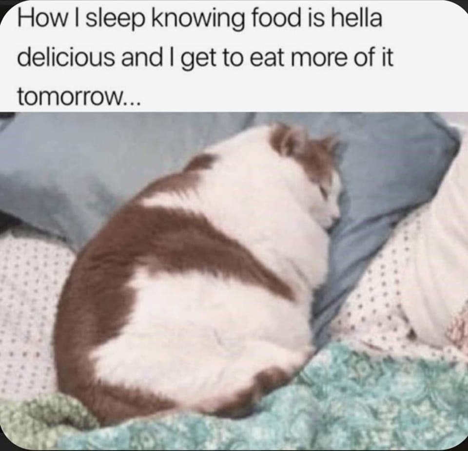 CATBRAINCELL's tweet photo. https://t.co/i0qXi6OPjl