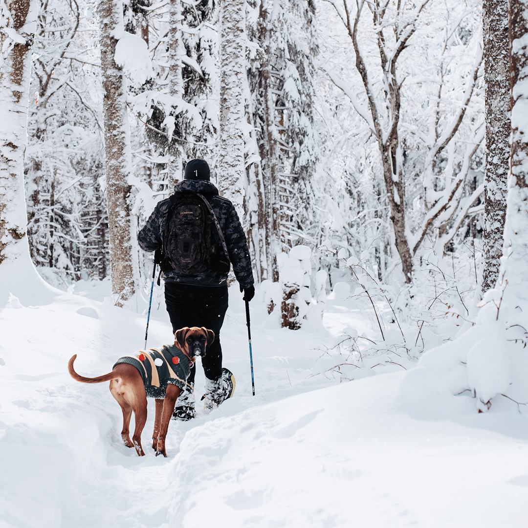 Live_MonTerra's tweet photo. Did you know MonTerra is only a 30 minute drive to Bragg Creek? Perfect for weekend outings, Bragg Creek offers well-manicured cross-country ski and snowshoe trails for those looking to get out this winter, hassle-free.

#cochrane #braggcreek #winter https://t.co/EXGpJC65VE