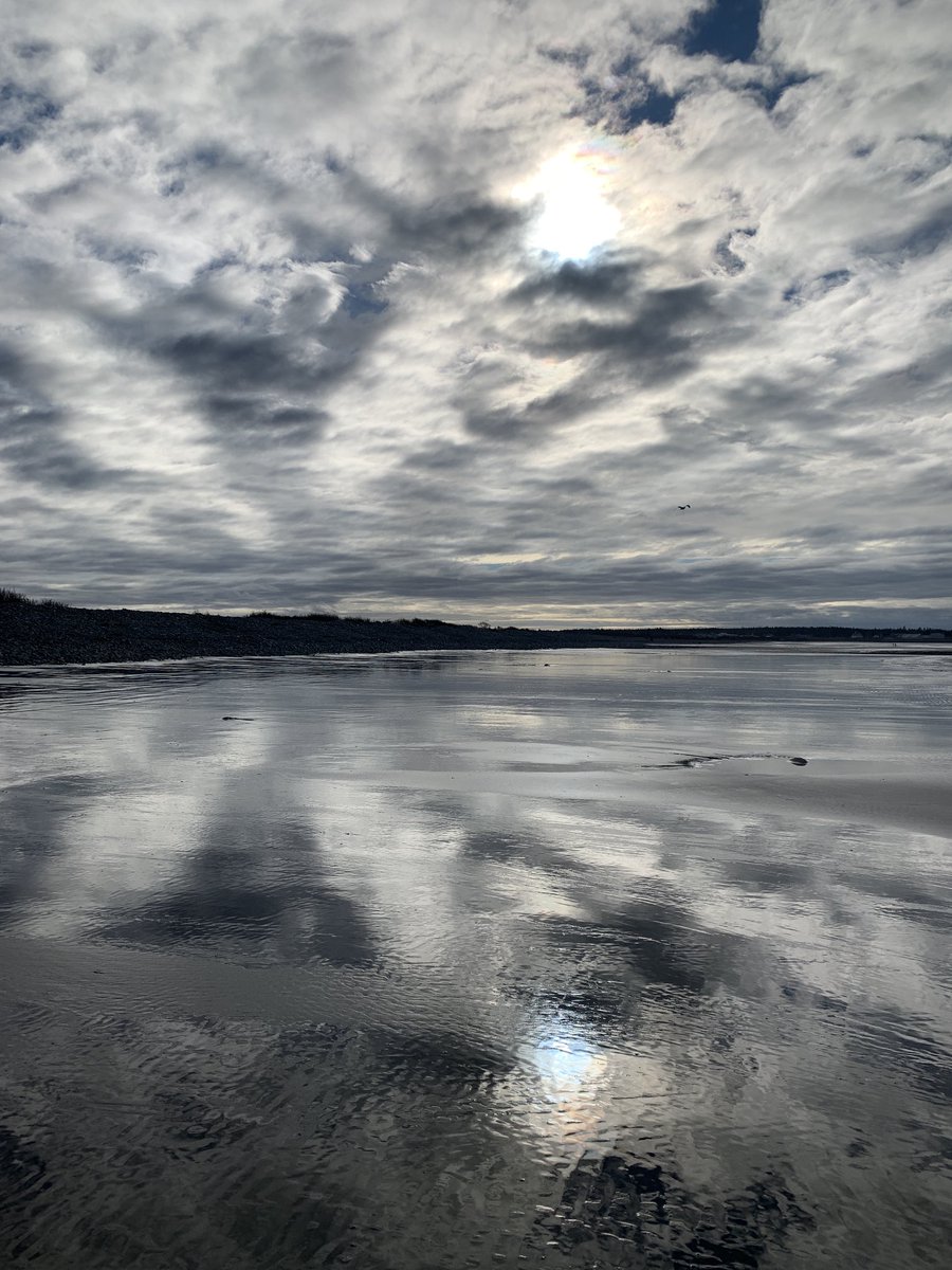 My beach walk is never the same way twice. #novascotia #portmaitland