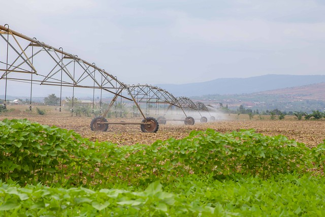 Farmers, Irrigation improves #crop growth and quality. It maintains higher soil water contents in the upper parts of the root zone while reducing the concentration of soluble salts.