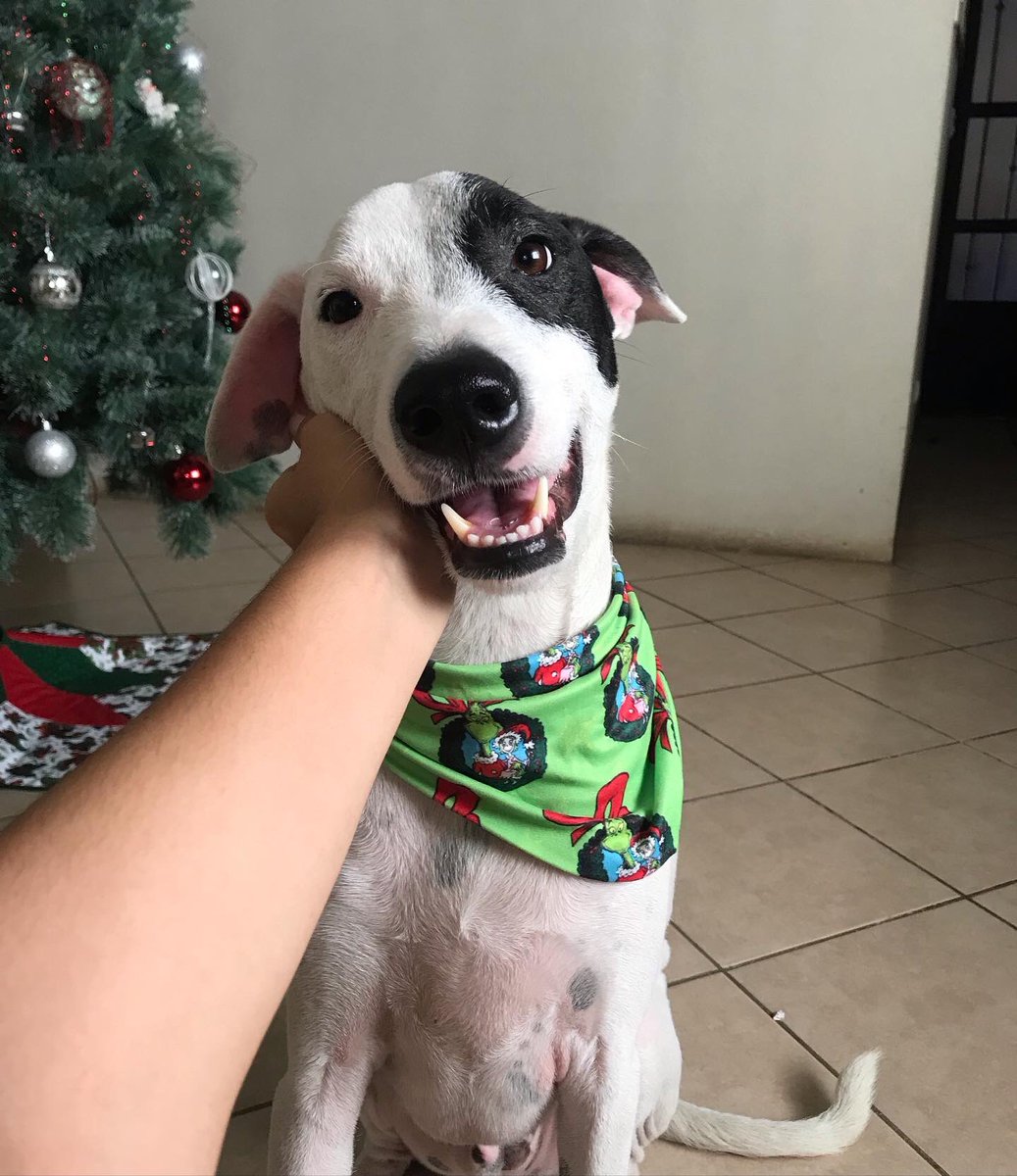 Cómo empezó | como va 🫶🏼🫶🏼🫶🏼