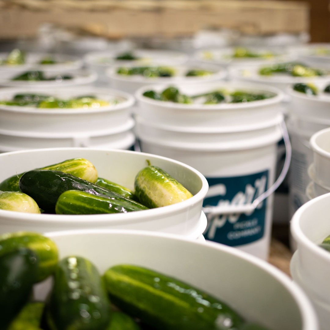 Topor's Pickles tweet media