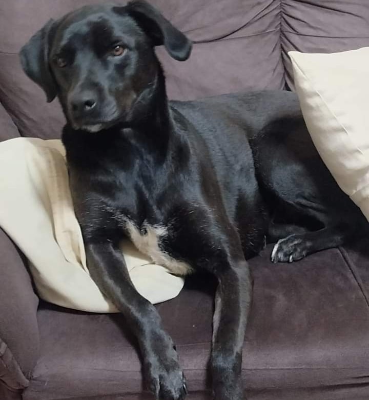 Abrigo Hope tweet media