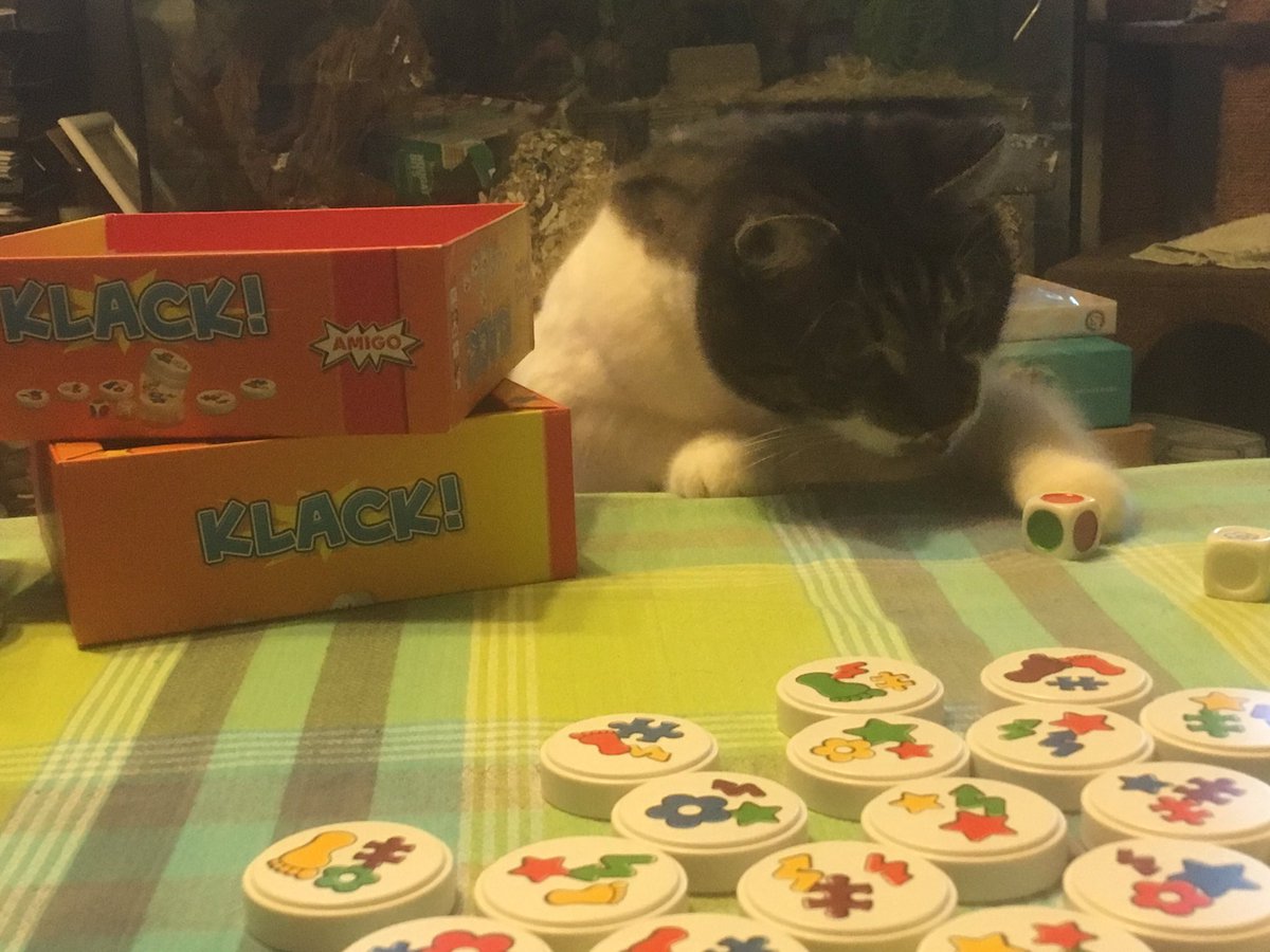 tootles42's tweet photo. Da meine Version noch #Klack! heißt, passte sie wunderbar zum heutigen K-Tag 😎 Ein zeitloses, großartiges Kinderspiel von @AMIGOSpiele, das auch dem Kater gefällt 🙄 https://t.co/CFvjjs1ZBi