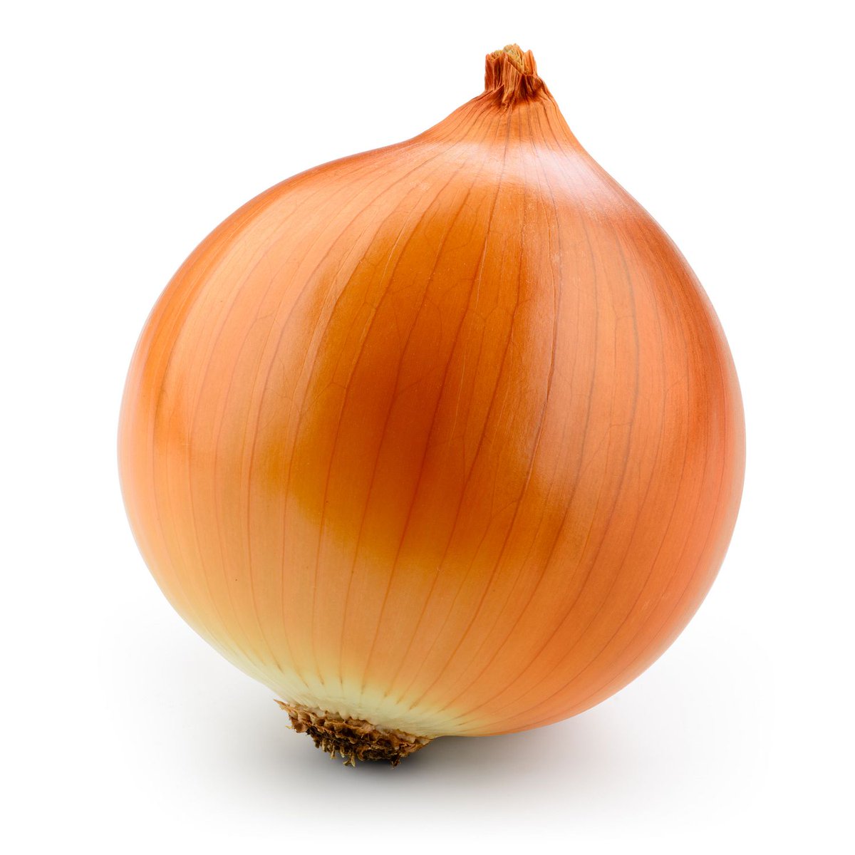 #Onion Kills #RenalCancer Cells in Vitro theplus-health.blogspot.com/2019/06/whole-…