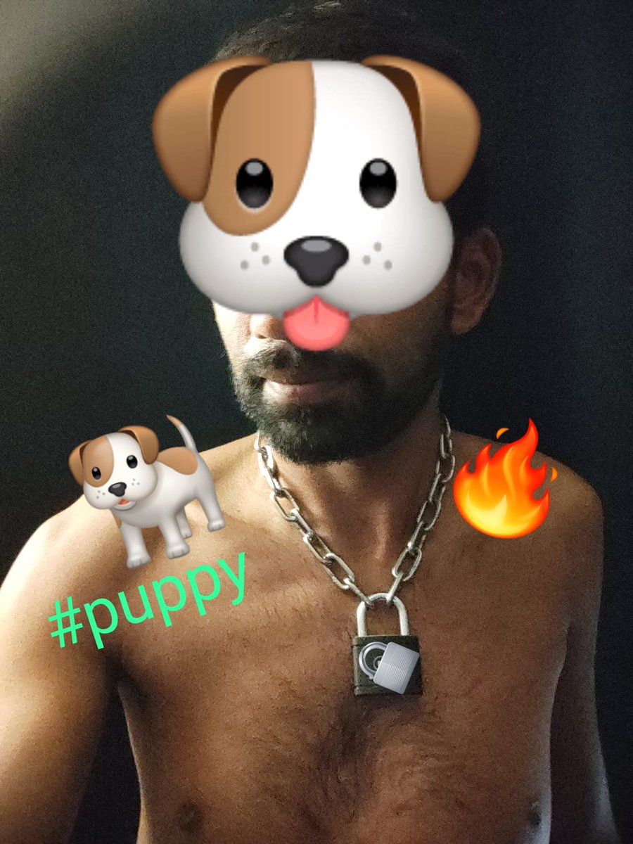 Str8notStr8's tweet photo. Sometimes, I am only in a #puppymood
#pup #puppy #subpup #chienne #ModeChienne #buttplug #locked #gay #gaysub #DaddiesPuppy #cockring #gaytoulouse
@RandomRugger @nico19x5 @sneakersyop @TopMekk @BolivarProds @TOP_BBK_PARIS @Actif_BBK @XDomijuteur @TonySilverX https://t.co/zp4lIc0Toa