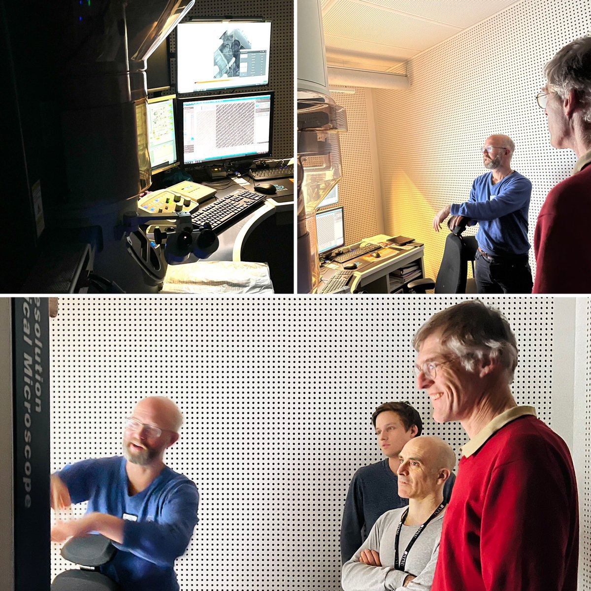 Dennis Meier tweet media