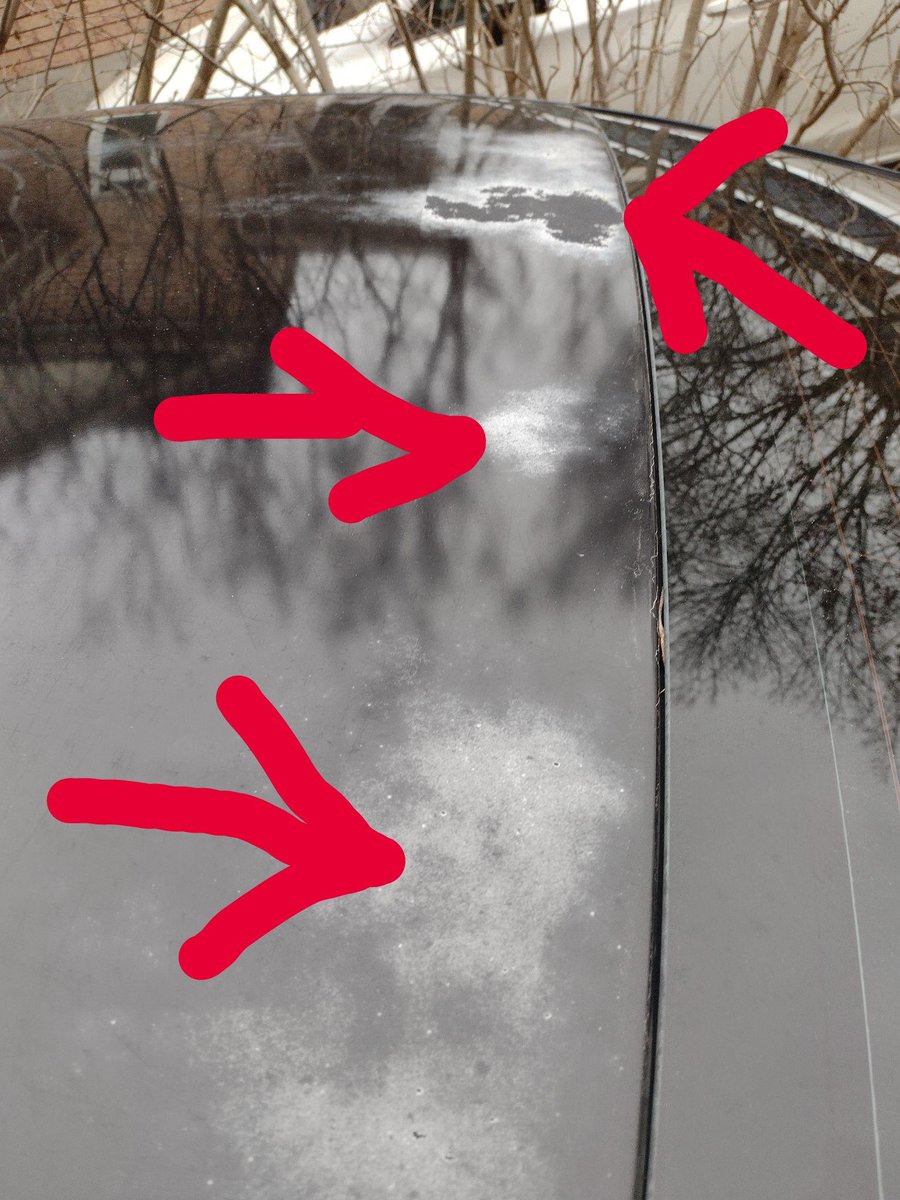 Clarayicoolma's tweet photo. 2012 Civic paint peeled off badly and just discovered it's an known issue. What's even worst is @HondaCanada only compensates Quebecois. Are customers in other provinces supposed to have only second class customer service? 😡😡@ellenroseman what do you think?
#Honda 
#Canadians https://t.co/AV8goopuNi