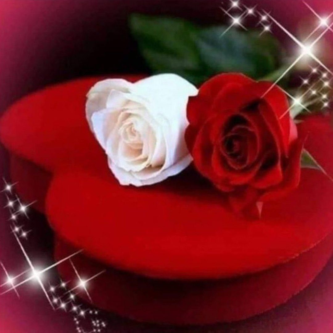 صفحتك في التواصل الإجتماعي..أشبه ببيتك الخاص. ومتابعينك هم ضيوف عندك، فأحسن ضيافتهم بذوقك وجميل كلماتك.
   "فقط كن راقيآ حرفاً ونبضً"