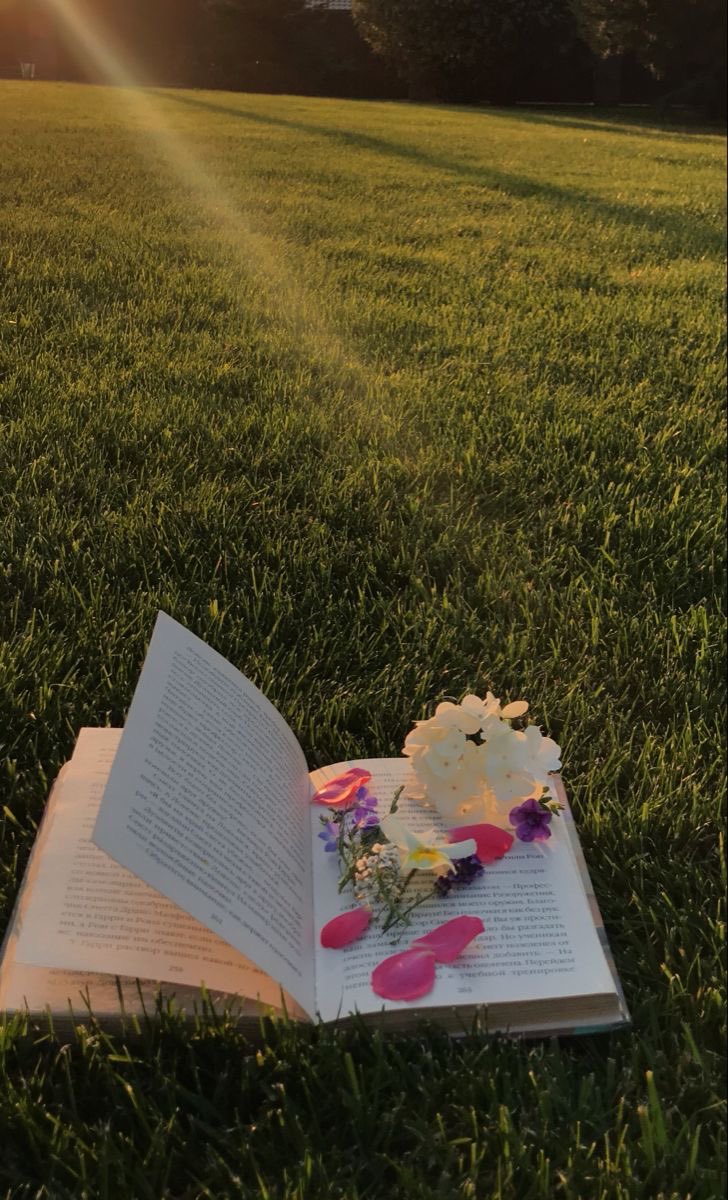 reeoom. 📚 tweet media