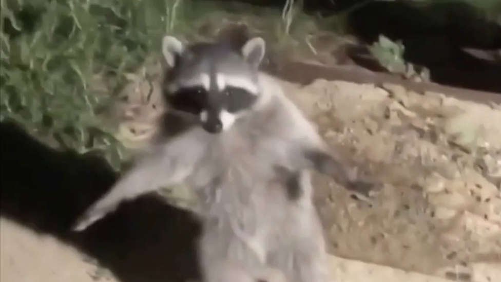 Pass Gaming🐉 tweet media