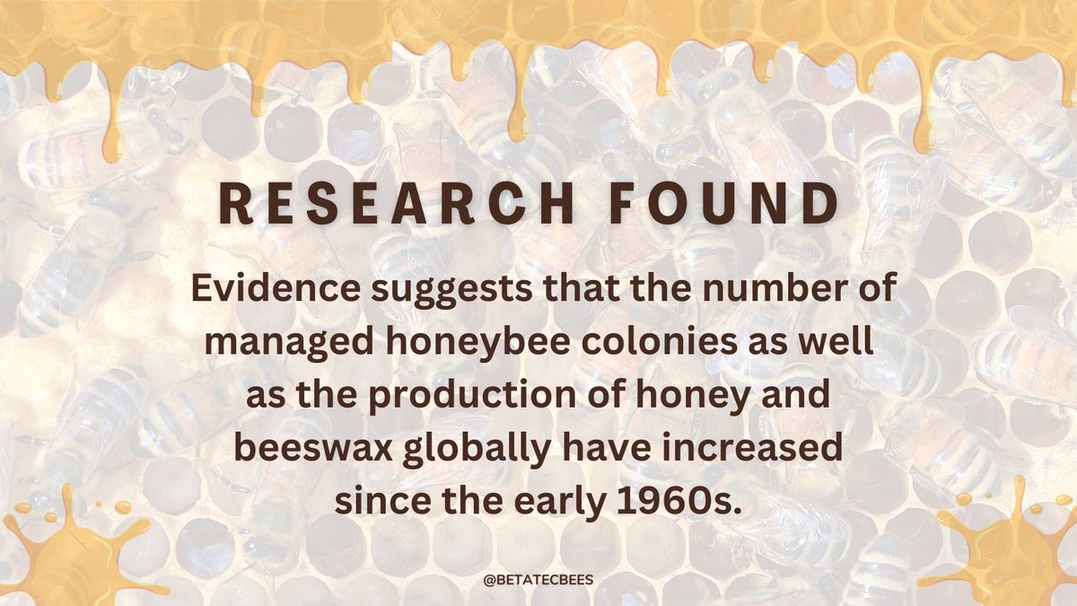 🔎 A research study found that the production of honey, beeswax, and honeybee colonies have increased. 

🍯 Why does this matter?

👉 nature.com/articles/s4159…

#honeybees #beehealth #pollination #biodiversity #beekeeping