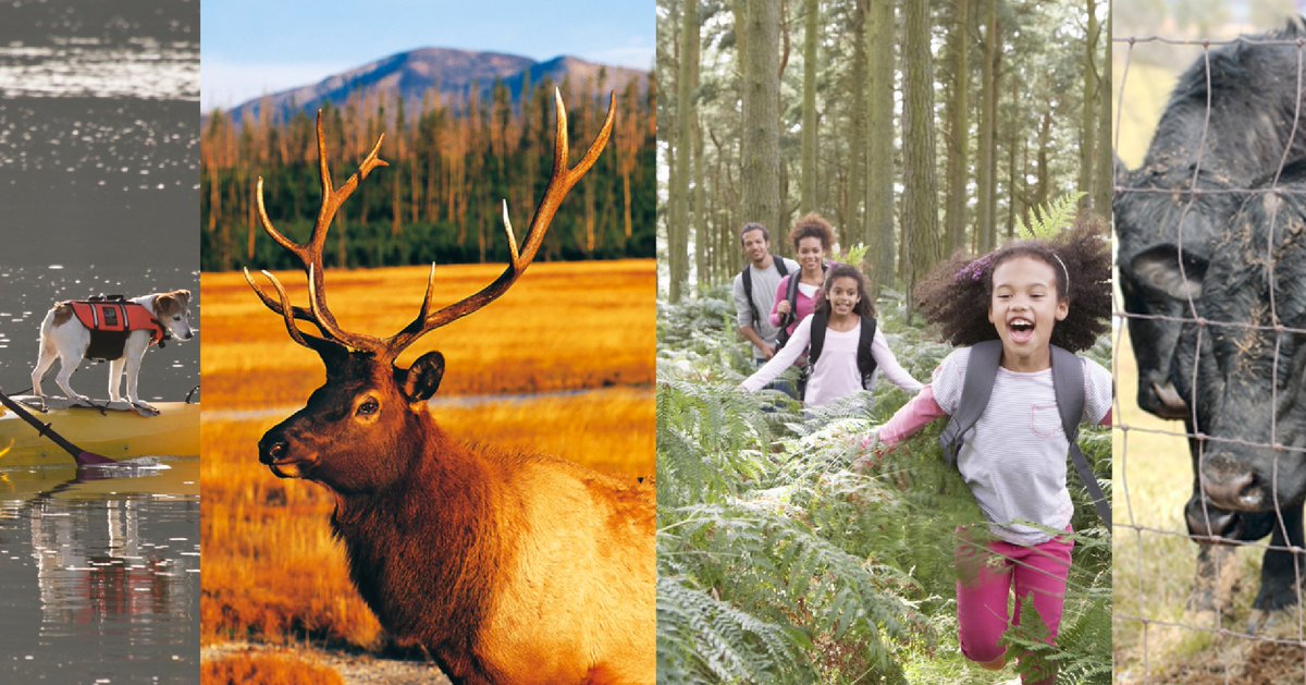 Many agencies are collaborating in One Health: EPA's One Health-related research  includes Protecting Watersheds, Sources and Drinking Water, Wastewater-Based Disease Surveillance, Harmful Algal Blooms (HABs), and much more!  

epa.gov/healthresearch…