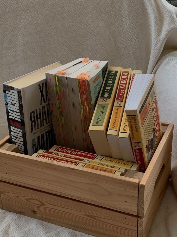 kaitlynscafe's tweet image. i’ve lived thousands of lives 📚