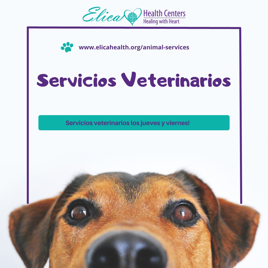 HealthElica's tweet photo. Servicios veterinarios los jueves y viernes!
Si usted o alguien que conoce no tiene hogar y tiene un gato o un perro, llame o envíe un mensaje de texto al 📞 (916) 205-3858 si desea que nuestro veterinario venga a ver a su pequeño ser querido peludo. 🐱 https://t.co/FdMHt3bsi7