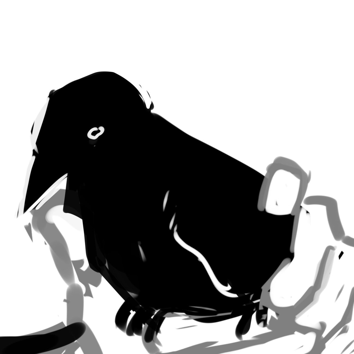 Here bird time while I try to act normal https://t.co/6DcGttEUsk