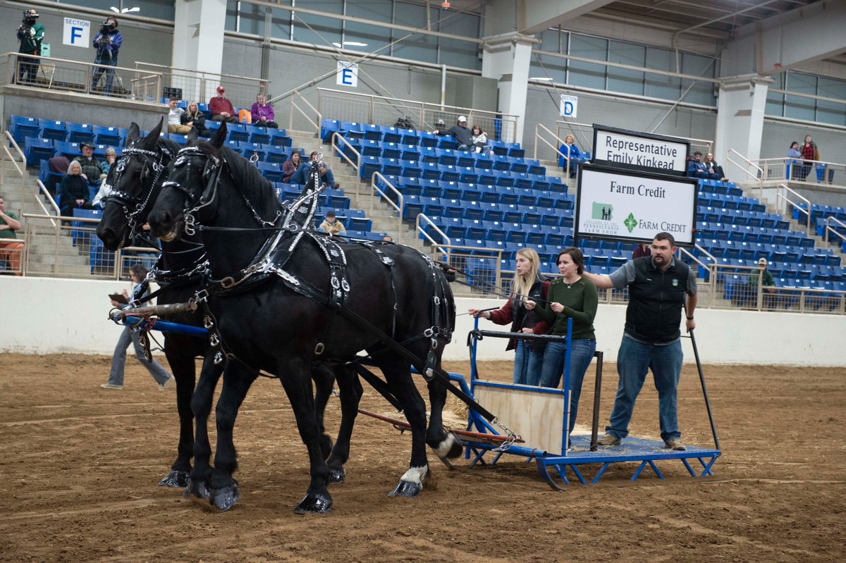 RepKinkead's tweet photo. I had a blast participating in the Horse Feed Scurry at the @FarmShowComplex 🐎 🏆 🚜 PA legislators competed to raise funds for the Friends of the #PaFarmShow Foundation.

And it was a family affair — my nephews enjoyed the stick horse race!

#RootedInProgress #PaFS2023 https://t.co/kw7HriEICl