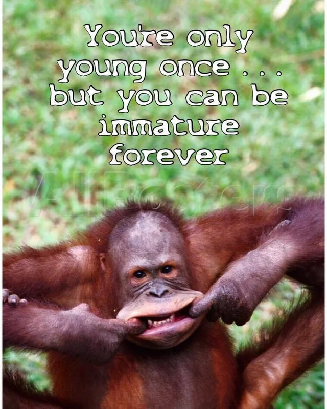 monketox's tweet photo. https://t.co/soZaZ2WW8p