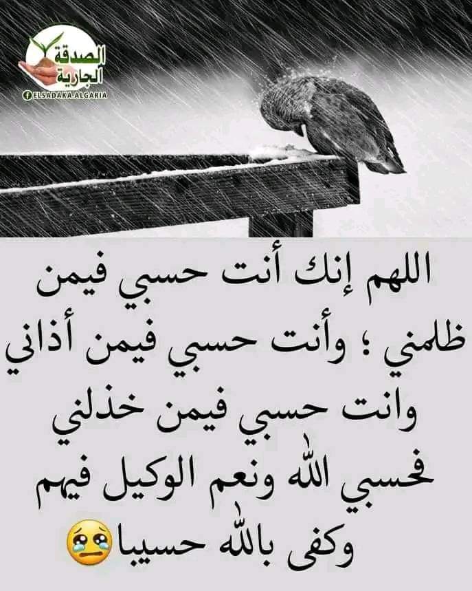 مريانا الخطيب tweet media