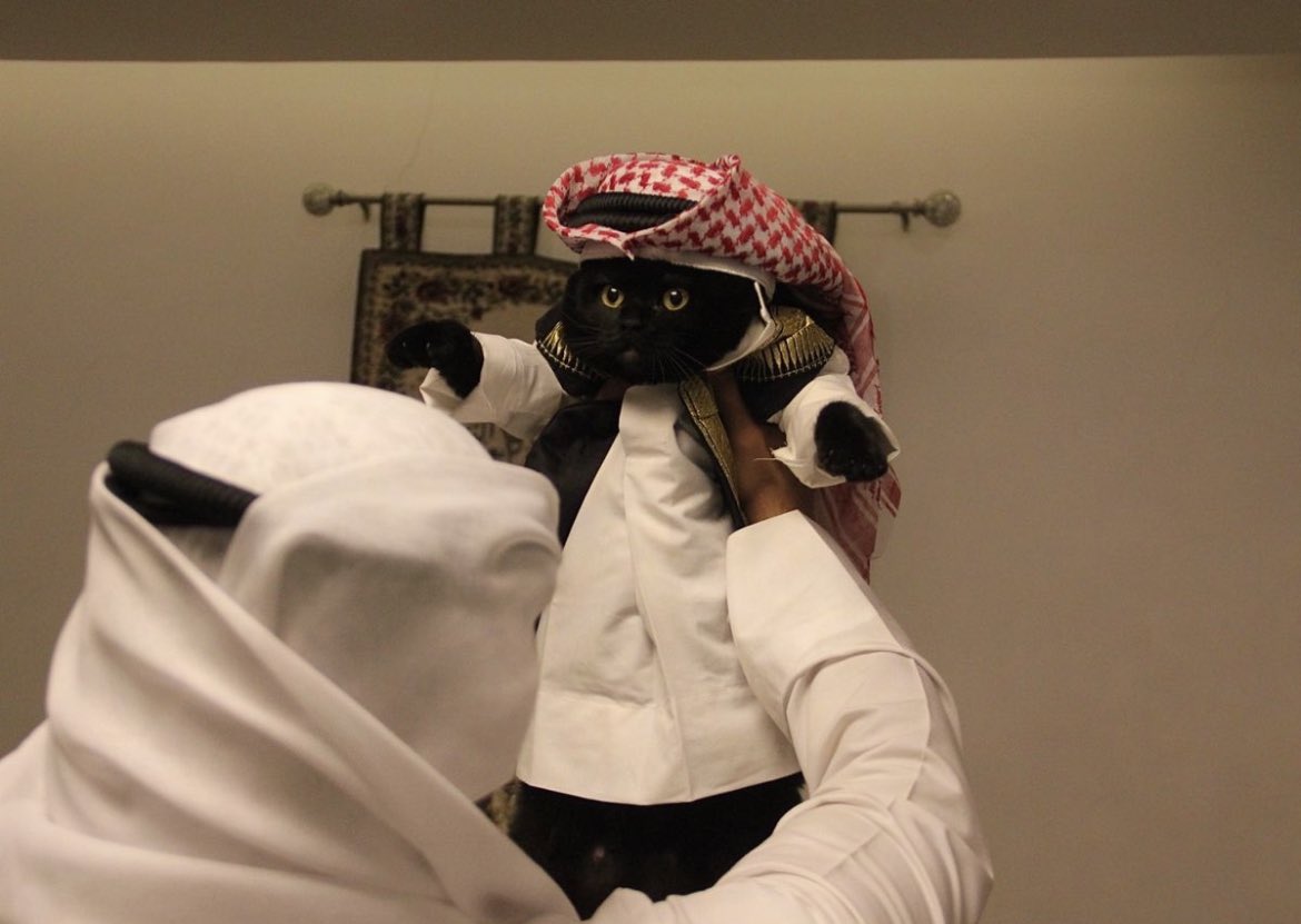 saudipopular's tweet photo. https://t.co/0UPQj9RhPE
