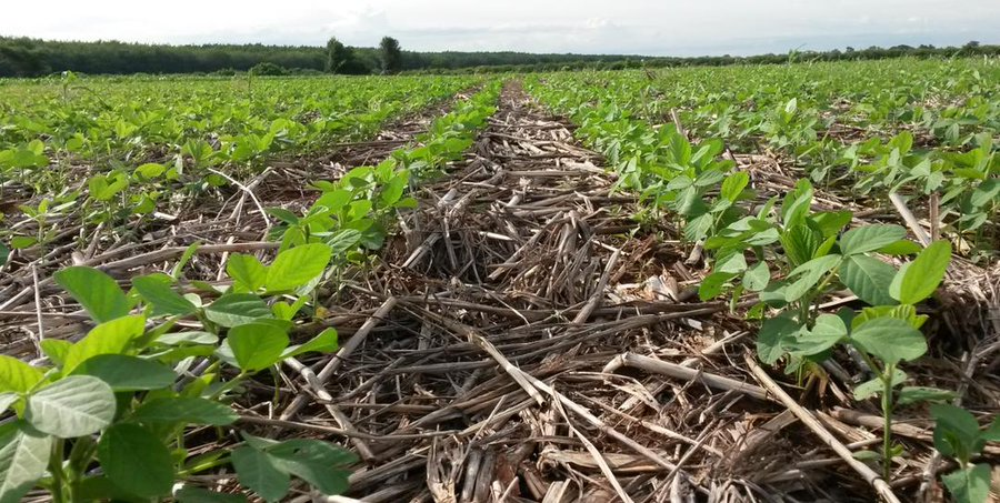 youthinconserv's tweet photo. Dear Youth, Conservation Agriculture is the way to Sustainable agriculture that consists of environment-friendly methods of farming that allow the production of crops or livestock without damage to human or natural systems.

Let's conserve and protect our soil. https://t.co/jqjASSv5hs