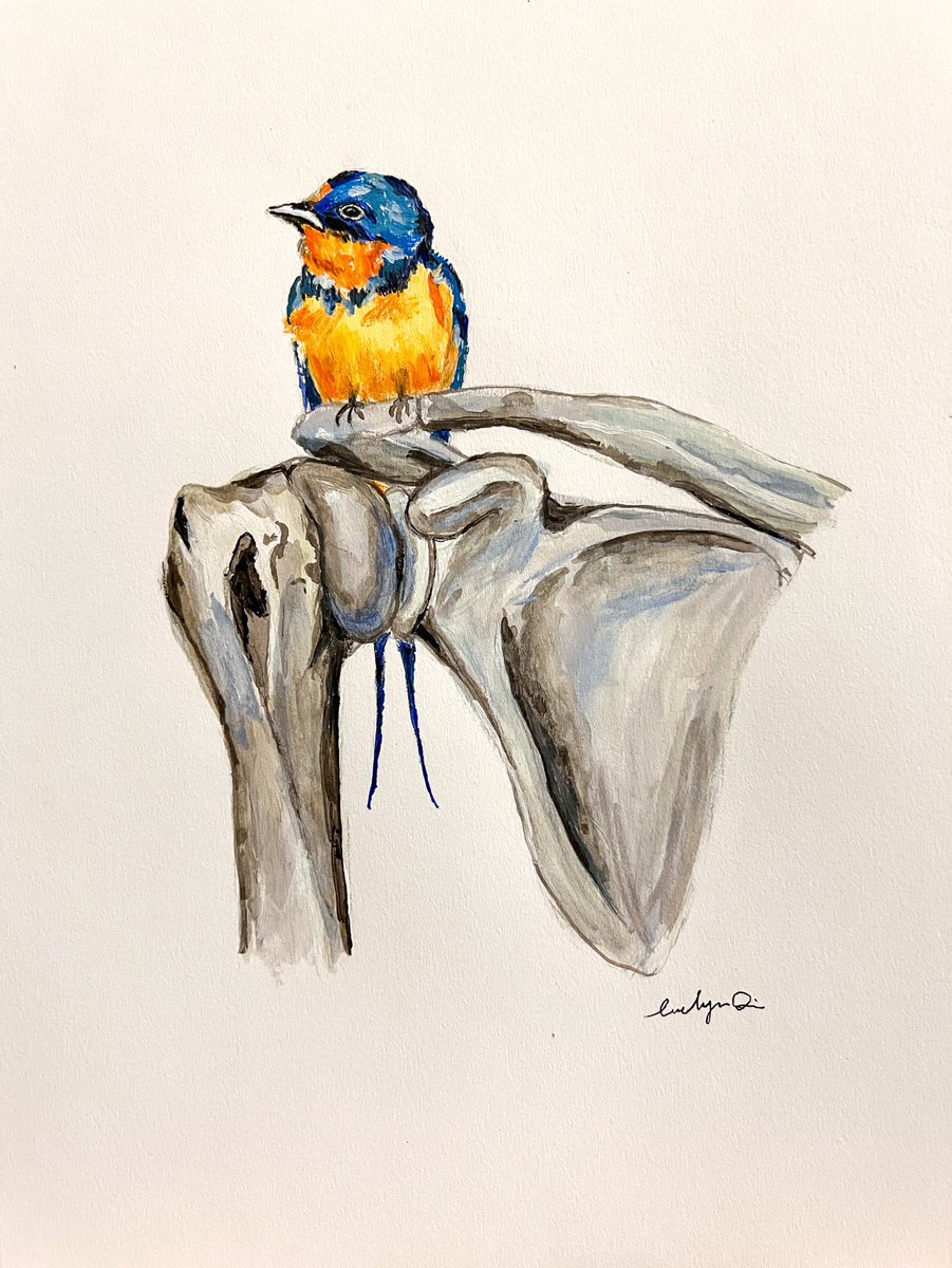 Evelyn Qin MD, MPH tweet media