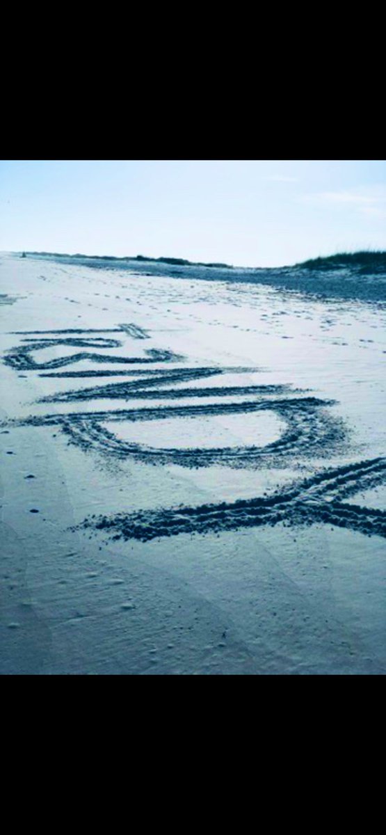 Trendy Trading , not a bad win rate using a sound process with <a href="/melbeeg/">Melissa Beegle</a>  

$MGM 80% 
$XLE 83%
$XLF 74%
$HD 26%
$XLP 18%
$AMD Equity 💪🏻💵
$SPY 42%
$TSLA 23%.   

Great 2 weeks, will CPI send us to 4000+ or put a damper on the rally ?

#stocks #StockMarket