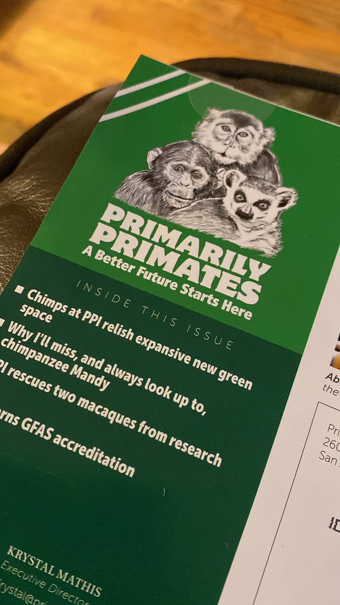 digitalsshark's tweet image. i love getting lil updates like these 🥺