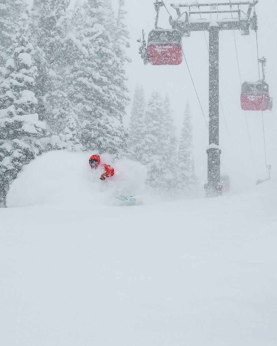 jhski's tweet image. Indulging in a fresh foot of Teton cold smoke ❄️ this morning! In the flow and conditions are 🔥 right now.
#jacksonhole #jhdreaming #skiing #powderskiing #snowboarding