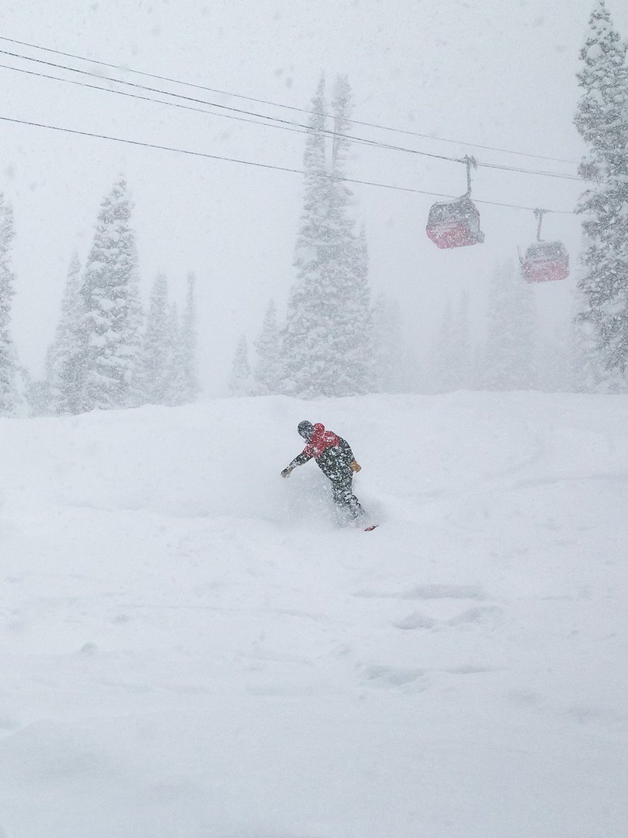 jhski's tweet image. Indulging in a fresh foot of Teton cold smoke ❄️ this morning! In the flow and conditions are 🔥 right now.
#jacksonhole #jhdreaming #skiing #powderskiing #snowboarding
