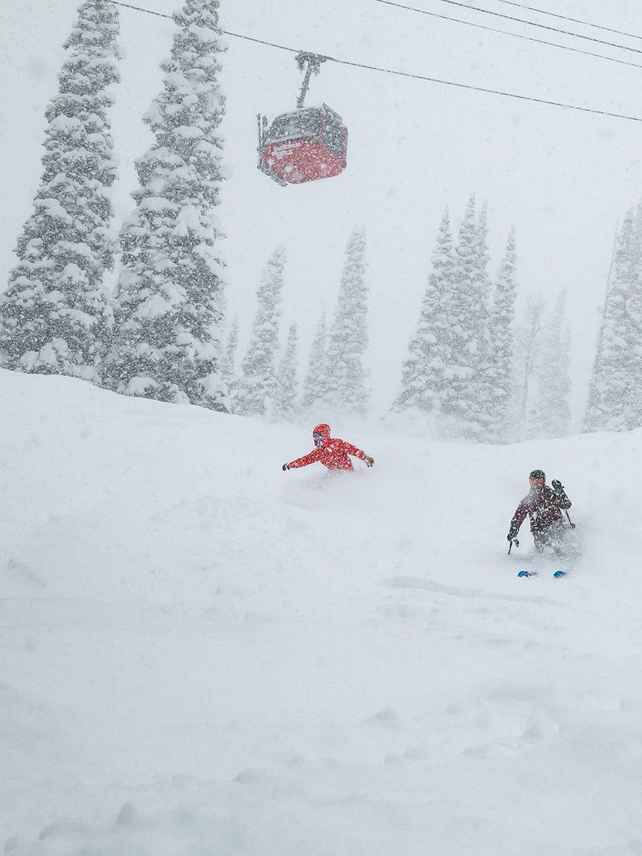jhski's tweet image. Indulging in a fresh foot of Teton cold smoke ❄️ this morning! In the flow and conditions are 🔥 right now.
#jacksonhole #jhdreaming #skiing #powderskiing #snowboarding
