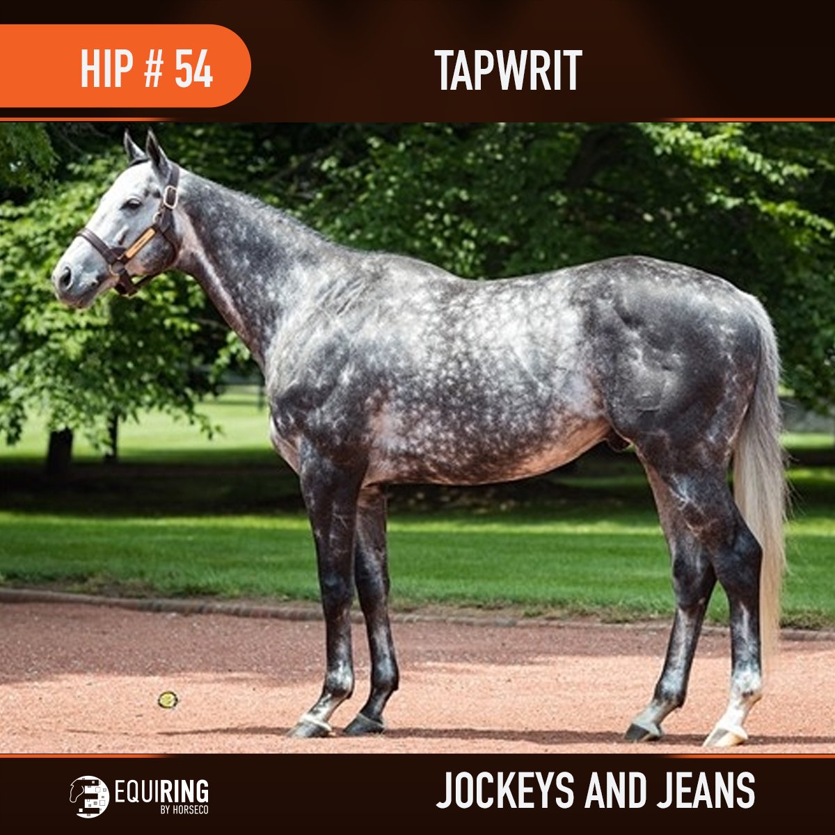 1EquiRing's tweet photo. The Jockeys and Jeans 2023 Thoroughbred Stallion Season online auction to benefit the Permanently Disabled Jockeys Fund is open now through January 12th, 2023, at 9:00 PM EST. You don’t want to miss it! https://t.co/jYyYZN1LTK
@Gainesway #Tapwrit
@PDJFund https://t.co/wDzYHItNc3