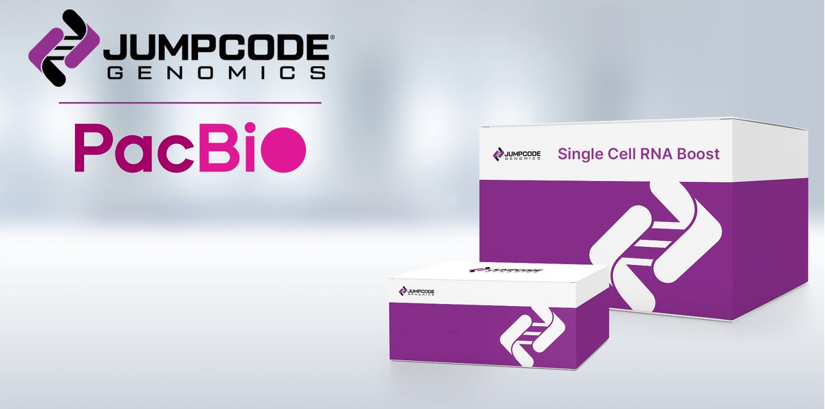 JumpcodeG's tweet photo. We are excited to announce a partnership with PacBio integrating our Single Cell RNA Boost Kit and the PacBio MAS-Seq kit for single cell RNAseq. The combination yields detection of more UMI's, genes and isoforms for greater discovery power https://t.co/qZqahXvURK #scRNAseq https://t.co/cAZZRSyPVE