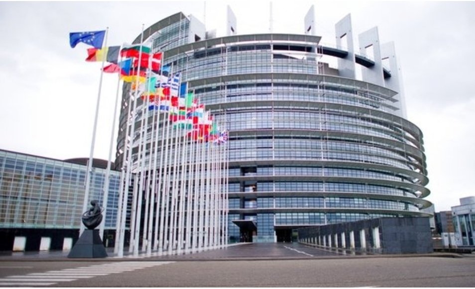 _saeed_1997's tweet photo. @Europarl_EN 

Шановні громадяни України, запрошую вас на зустріч 16 січня у Страсбурзі🙏👏 https://t.co/oNtH9aNrE3