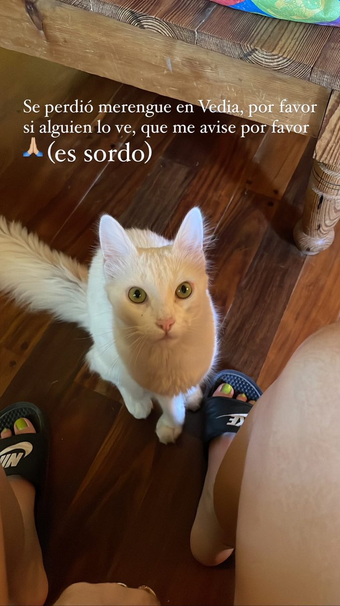 camilaarrufat's tweet photo. por favor si alguien lo ve, me muero si le pasa algo https://t.co/l8B3FetcJ3