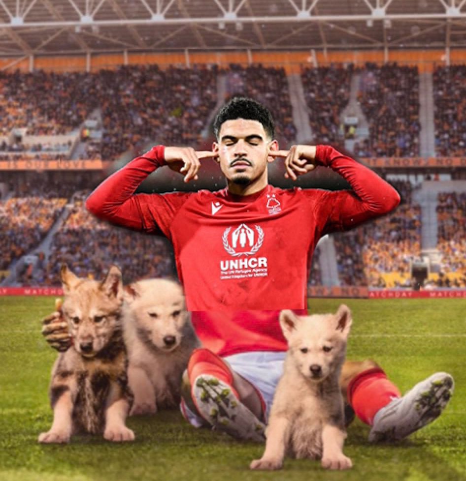 Panks80's tweet image. Love this #nffc