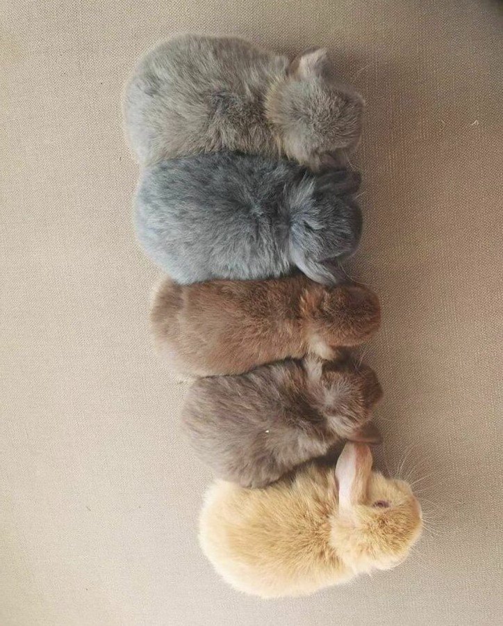 Jen Gentleman 🌺 tweet media